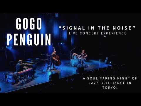 Gogo Penguin – Signal in the Noise | Live Concert Spectacular in Tokyo, Japan #gogopenguin #concerts