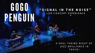 Gogo Penguin - Signal in the Noise | Live Concert Spectacular in Tokyo, Japan #gogopenguin #concerts