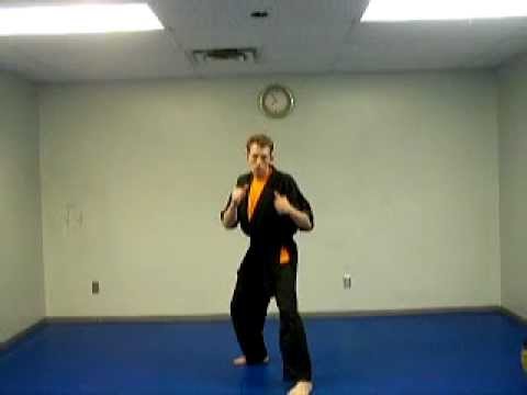 KENPO KARATE for beginners lesson 3