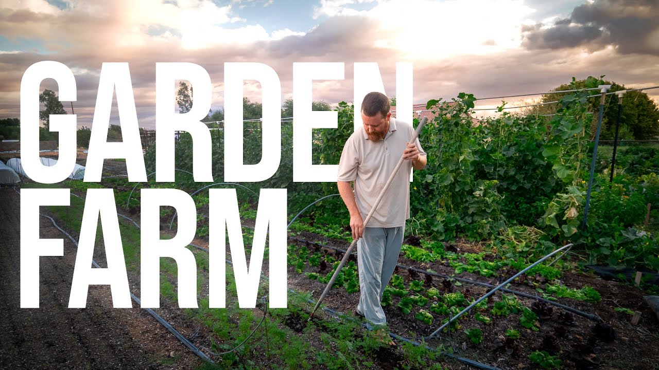 Bio-intensive Market Gardening on 15,000 sqft Organic Farmstead | PARAGRAPHIC