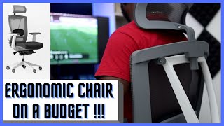 Budget Ergonomic Chair for Desk Setup || Autonomous ErgoChair 2 || Still Worth It?
