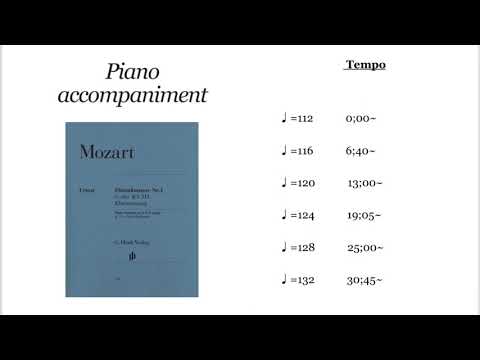 Piano accompaniment for practice „Mozart flute concerto Gmajor KV313 1.movement