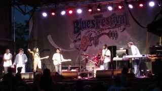 Adventures in Recovery (Canton Blues Fest 2013)