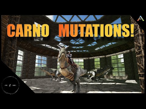 Strarting our Carno Mutation Stack! - Ark: Survival Evolved