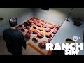 Butchering Pigs Gets Us LOTS Of Meat ~ Ranch Simulator #7