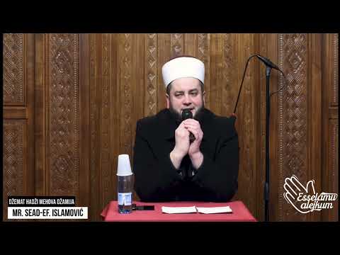 Ustrajnost - mr. Sead Islamović