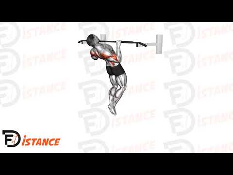 Exercice Tractions verticales Rocky