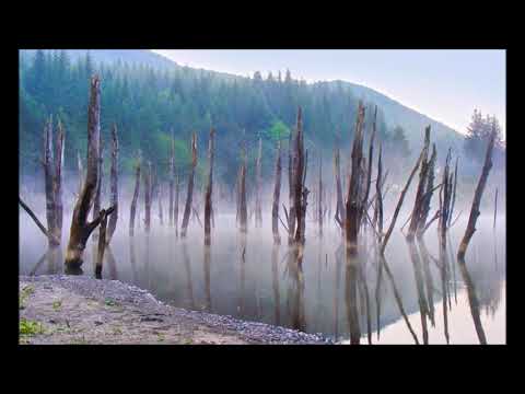 Garcina, Cuiejdi si frumusetile locului by Ovidiu Gaspal 2018!