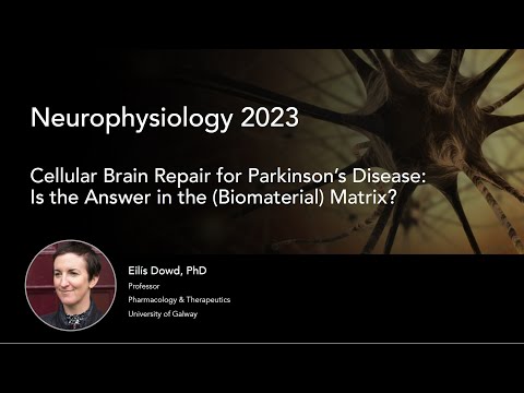 Cellular Brain Repair for Parkinson’s Disease: Is the Answer in the (Biomaterial) Matrix?