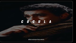 Plácido Domingo Cocula Letra