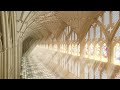 Selena Dreaming Of You But You Re In A Cathedral 432hz Intro Looped