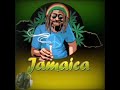 MR. VEGAS - UNDER MI GUINESS (Paid In Full Riddim 1998)