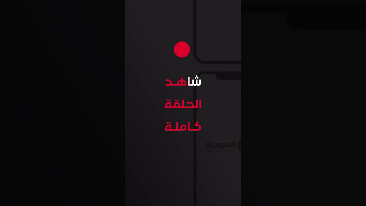 فيديو | نهاية سعيدة.. 2025 ينتهي بصلح سياسي وبرلمان مكتمل #shorts