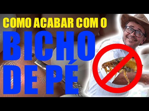 Acabar com Bicho de Pé - Tutorial Passo a Passo