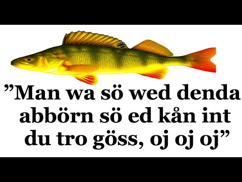 Dalmål: Storfiskare från Orsa blev less på abborre