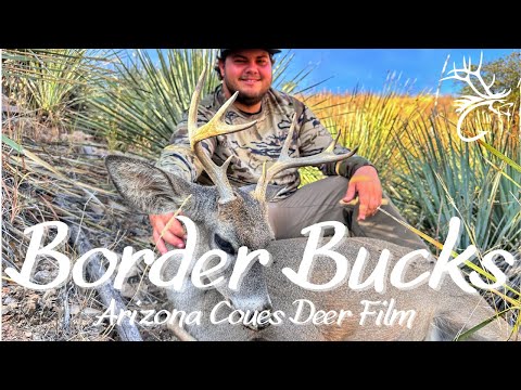 Border Bucks - Arizona Coues Deer Hunting