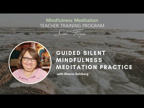 Sharon Salzberg Leads a Guided Mindfulness Meditation Practice