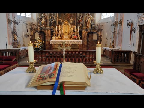 Lateinische Messe im Überlieferten Ritus z.Eh. des Hl. Petrus Canisiu