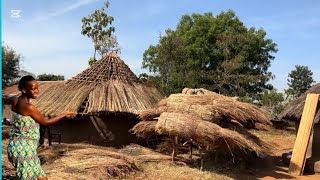 Primitive Technology / Building A Grass Thatched  Mud Hud /African village life