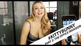 Kitty vs. Bunny Part 2 : The Office Invasion