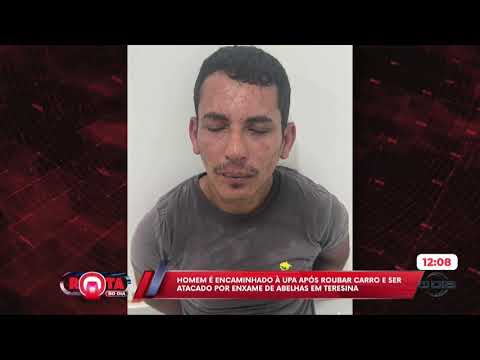 O Dia TV