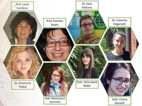 INTERfaces at TRIESTE NEXT2020