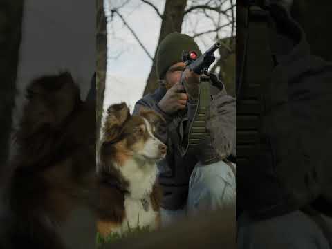 Review: Rossi Rimfire Rifles