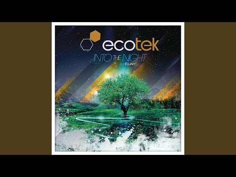 Into the Night (Original Extended Mix)