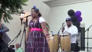 La Santa Cecilia - Ice el Hielo (Baldwin Park 2014)
