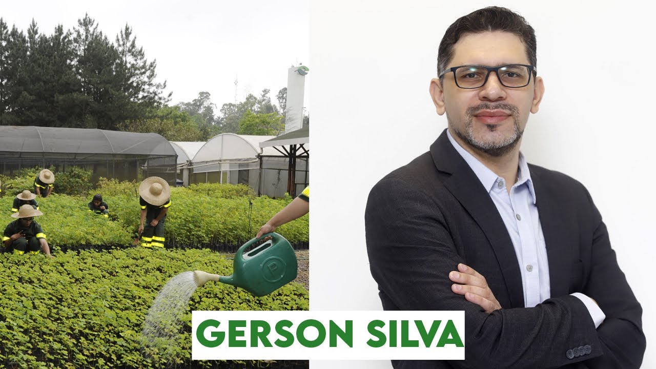 Projeto Ecovias Trânsito Seguro - Social