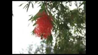 Thendral vandhu theendum- karaoke for male singers