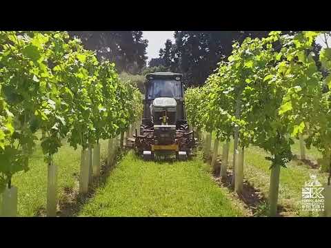 Orizzonti Energy Dual Cultivator with Ecology Strimmer Heads - UK Vineyard