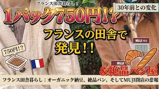 【フランス🇨🇵田舎暮らし】歓喜と絶望!最近あった嬉しかったこと2つと残念なこと1つ|30年前の海外生活と今の違い
