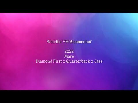 youtube preview
