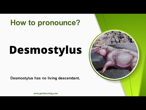 How to pronounce Desmostylus in English Correctly