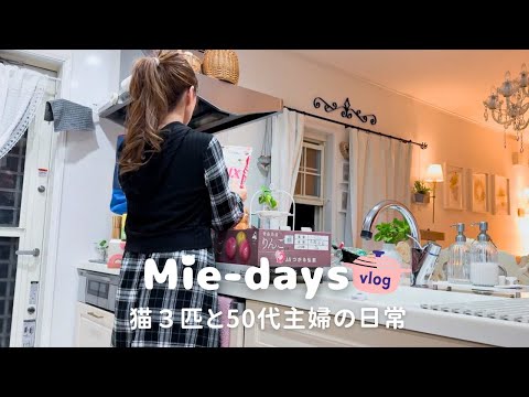 Von Costco nach Hause: Kühlschrank Reset｜2-Tage-Vlog & 3 Katzen