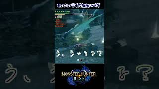 【再投稿】モンハンライズ:空中転倒バグ