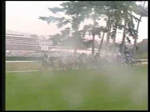 2005 Prix de l'Arc de Triomphe - Hurricane Run