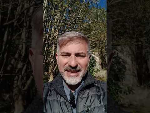 Evangelio del Nuestro Señor Jesucristo Con el Padre Fabian Esteban Oliva. Segunda parte 25/04/26
