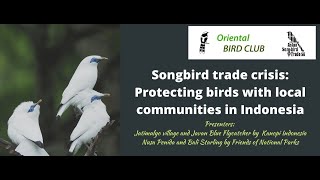 Songbird trade crisis: Protecting birds in Indones