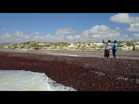 Socotra my dream Island