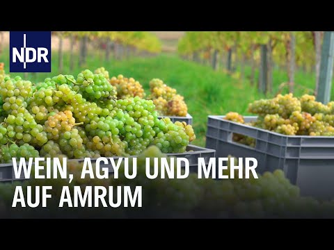 Video Thumbnail: Ein Jahr mit dem Amrumer Inselbauern Oke Martinen | Die Nordreportage | NDR Doku