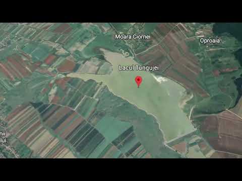 Lacul Tungujei