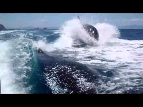 Local photographer Laura Howard joins AMTB today! 