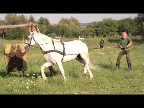 NÓGRÁDI ŐSMAGYAROK