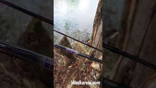 Mikado Ultraviolet Method Feeder - absolutny hit wśród wędek do metody #feeder #methodfeeder #wędka