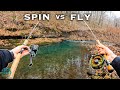 Fly Fishing vs Spin Fishing: Which is better?? (Trout Fishing)