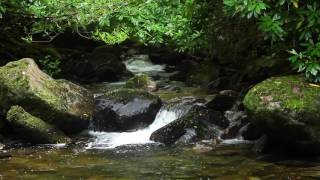 Nature Sounds & Classical Piano Music by Frederic Chopin-Sound of Water & Birds Singing- gameplay video by Brooke Butterfly, 105:14 duration