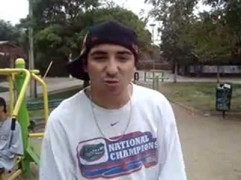 Racek//Radamanthys//Cristofebril_2013_Chile