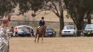 preview picture of video 'Balledor Debut Jerrawa 13 April 2009'